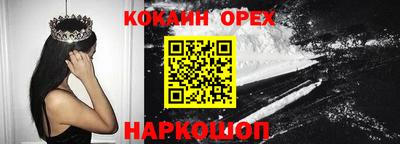 гашик Моздок