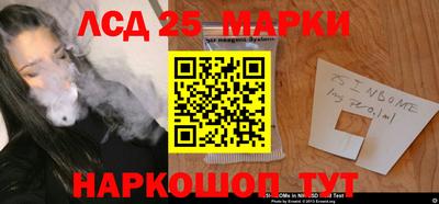 гашик Моздок