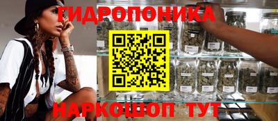 мдпв Можга