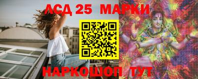 гашик Моздок