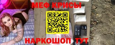 гашик Моздок